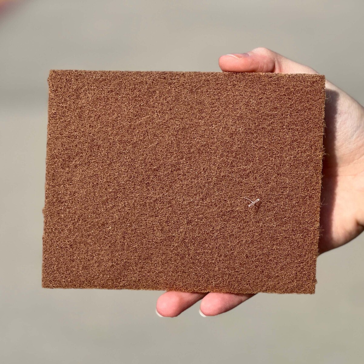 Scotch-Brite Pad